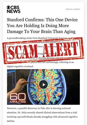 2606_SPAM_Brain